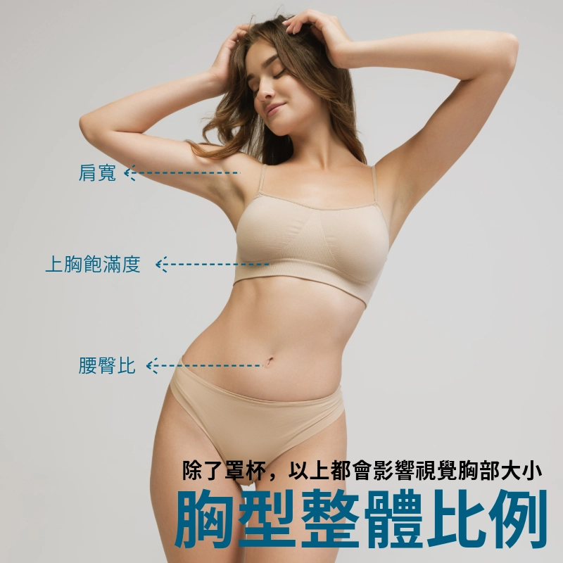 胸型整體比例